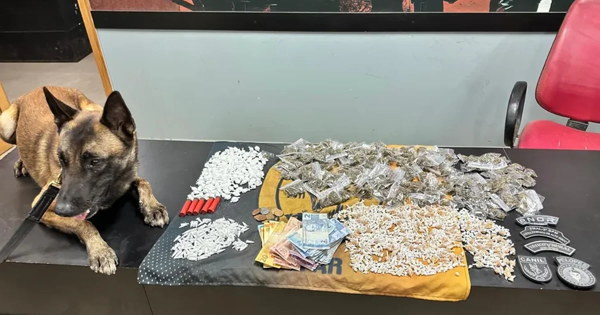 Operação da PM em Alagoas tira quase 50 kg de drogas e 25 armas das ruas em uma semana