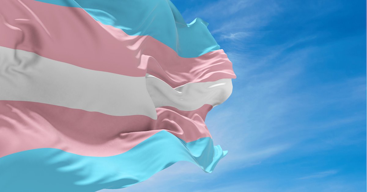 União é condenada a indenizar militar trans após sofrer humilhações transfóbicas nas Forças Armadas