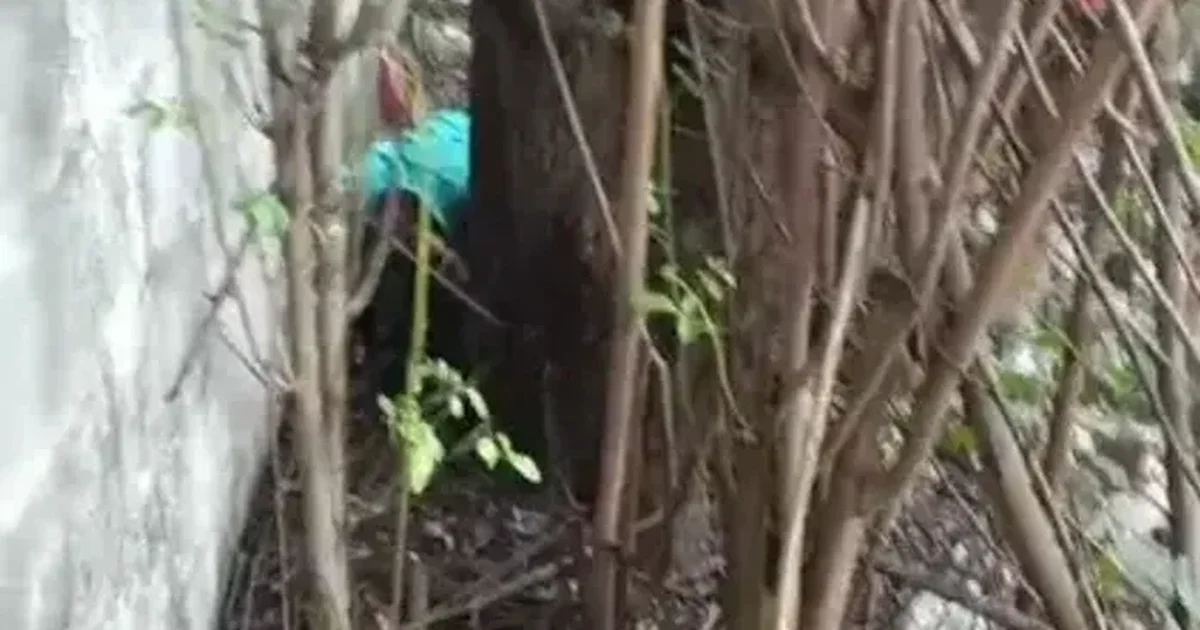 Homem é morto após fugir de perseguição e tentar se esconder em terreno na parte alta de Maceió