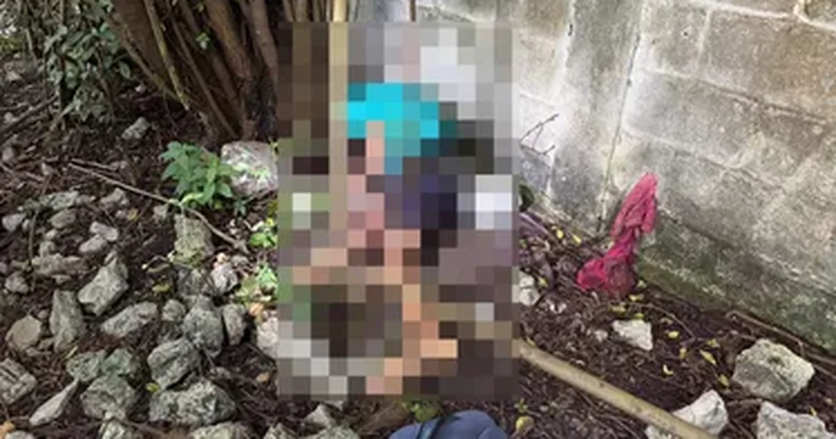 Jovem é encontrado morto com tiro na cabeça em terreno baldio