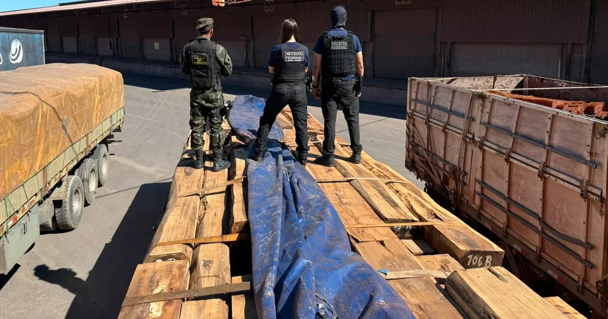 Cocaína na madeira: Operação realiza maior apreensão do Brasil, segundo estimativa da Receita Federal
