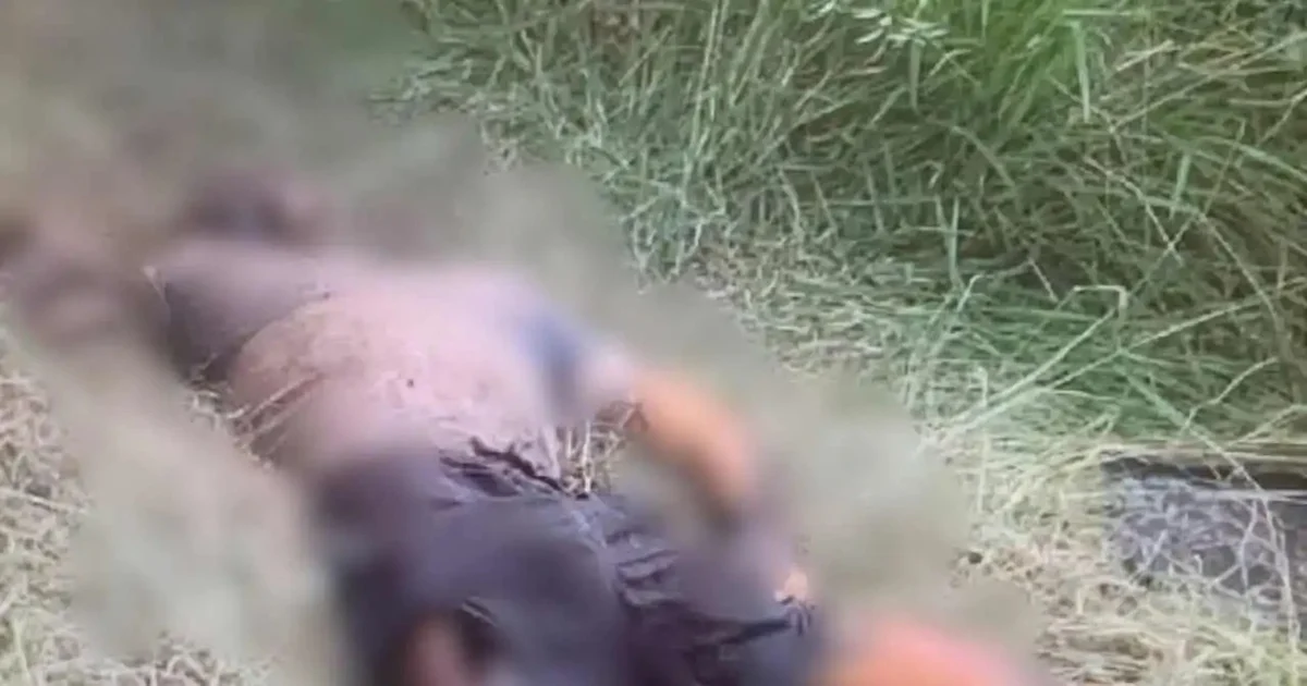 Corpo em avançado estado de decomposição é encontrado em área de mata em União dos Palmares