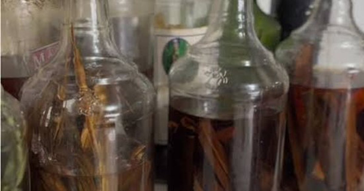 Pacientes intoxicados após consumo de “raizada” recebem alta em Pariconha