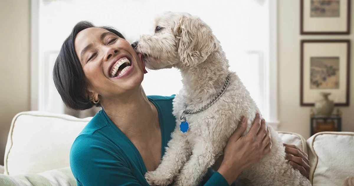 Olhar nos olhos do cachorro fortalece vínculo semelhante ao de mãe e filho, diz estudo