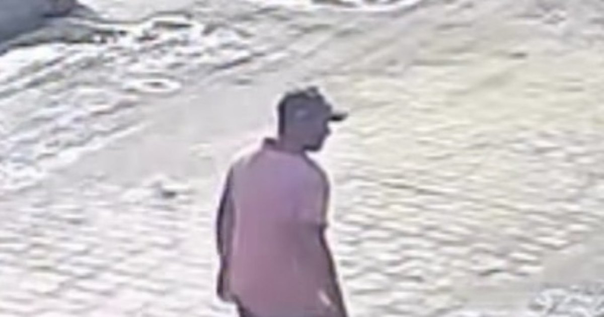 Homem suspeito de agredir cachorro com pedaço de madeira é identificado em Arapiraca