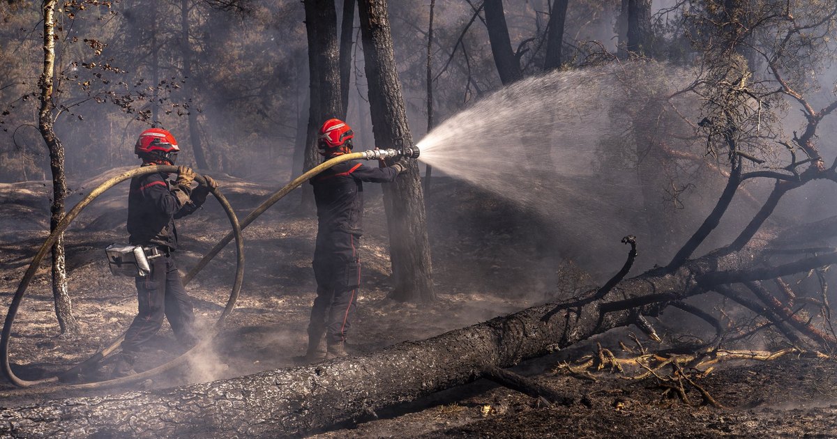 Incêndios florestais forçam evacuação de mais de 300 mil pessoas na França e na Espanha