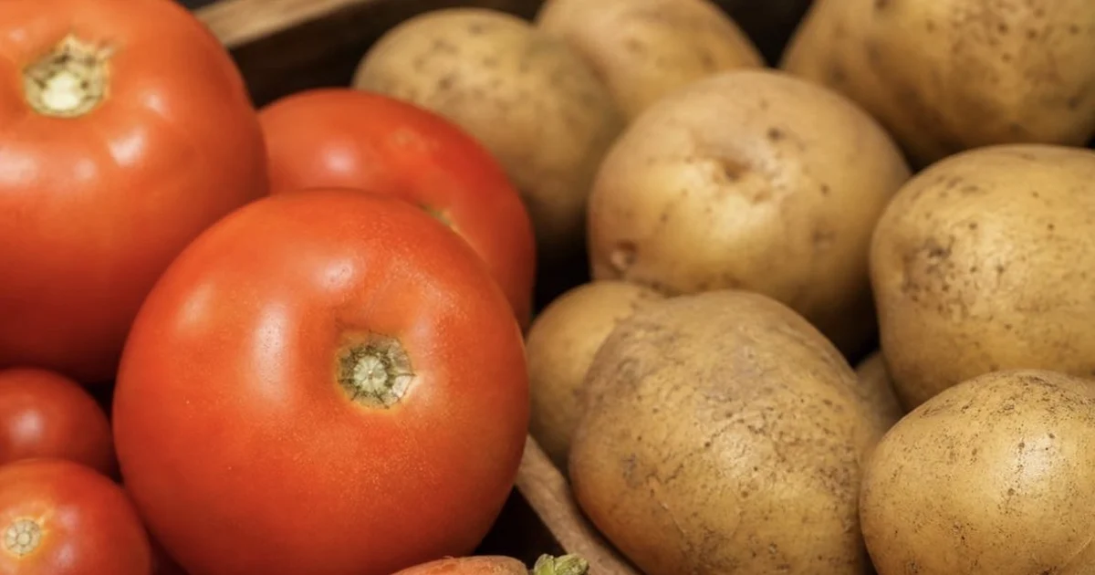 Tomate, cenoura e batata acumulam alta de mais de 100% em 2026,aponta IBGE
