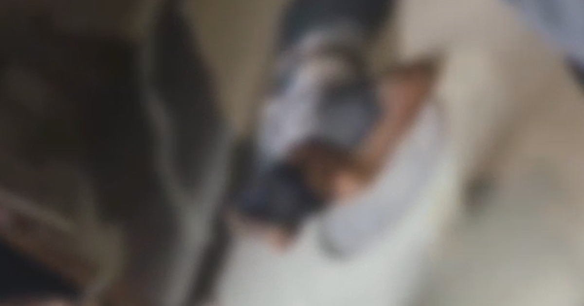 Jovem de 17 anos é morto a tiros na Jatiúca, em Maceió