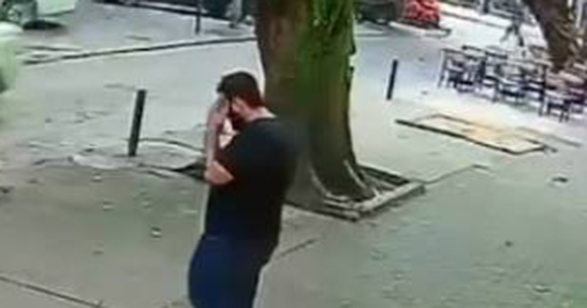 Vídeo mostra momento em que árvore despenca e homem escapa por pouco