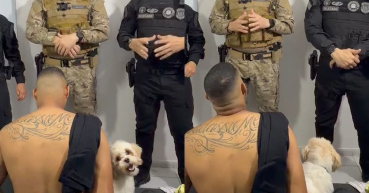Cachorro acompanha tutor durante prisão em Teresina e comove durante operação policial