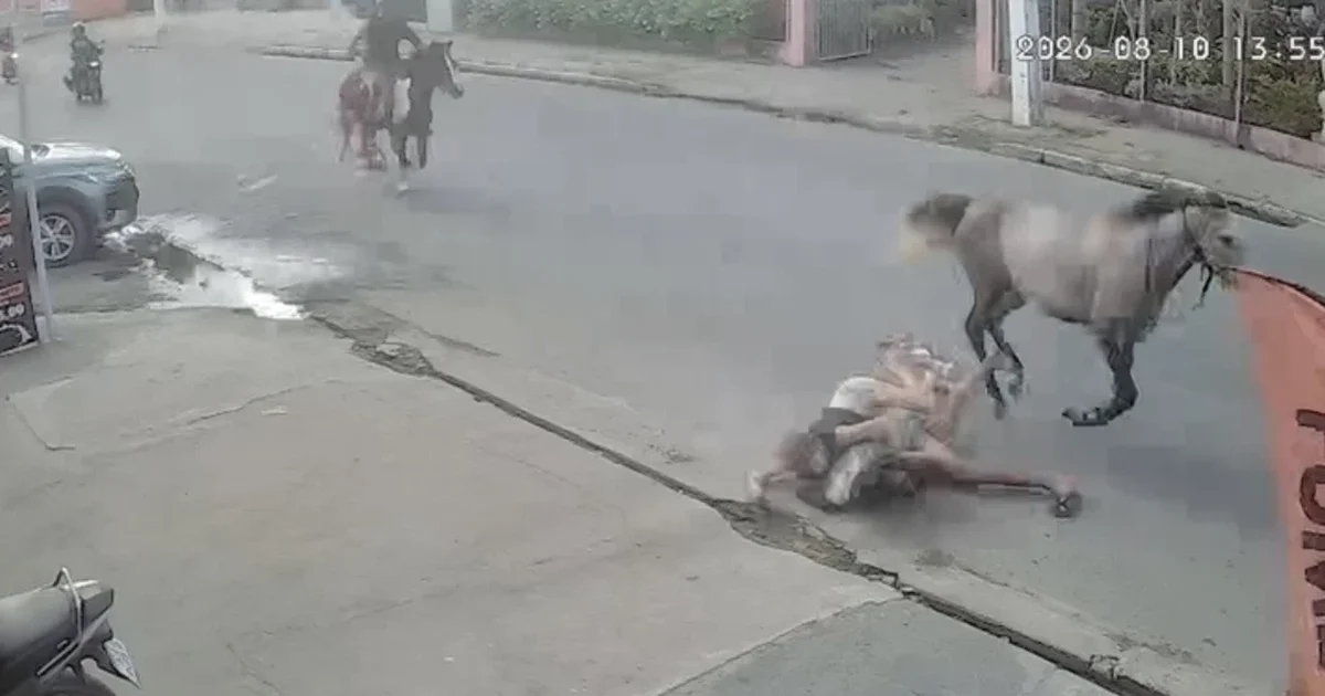 Casal cai de cavalo durante trajeto em alta velocidade em Arapiraca