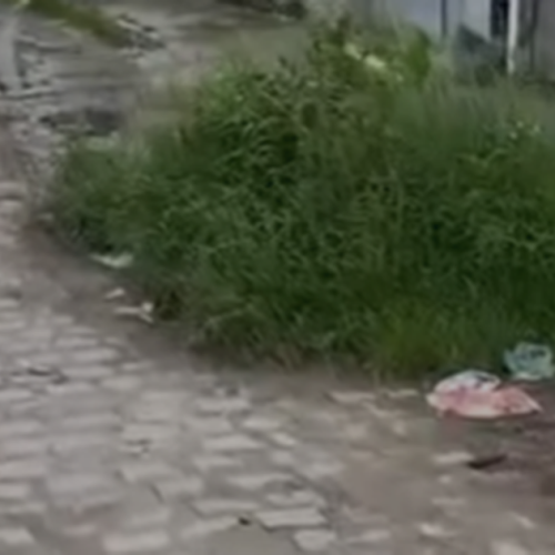 Moradores denunciam abandono em rua do Conjunto Denisson Amorim, em Marechal Deodoro