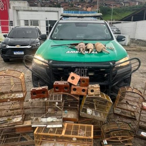 BPA apreende armas de fogo e animais silvestres em três municípios do interior de Alagoas