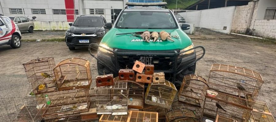 BPA apreende armas de fogo e animais silvestres em três municípios do interior de Alagoas