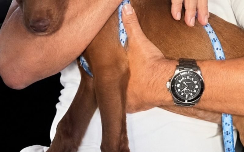 Zezé Di Camargo transforma fazenda de ‘abate’ em santuário para animais resgatados