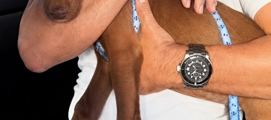 Zezé Di Camargo transforma fazenda de ‘abate’ em santuário para animais resgatados