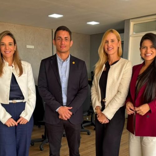 OAB/AL solicita à PC ampliação do funcionamento das Delegacias Especializadas de Atendimento à Mulher