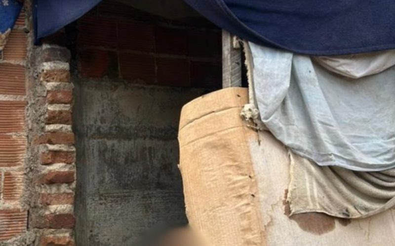 Após ser solto pela justiça, homem suspeito de manter adolescente em ‘casinha do cachorro’, é acusado de agredir a jovem; os dois fugiram da polícia