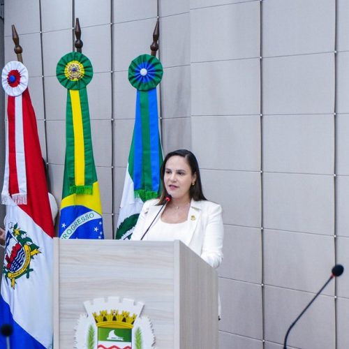 Vereadora apresenta emendas ao PLDO e destaca ações prioritárias nas áreas da educação e saúde