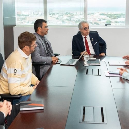 TRE e Meta alinham estratégias de cooperação para agilizar cumprimento das decisões judiciais