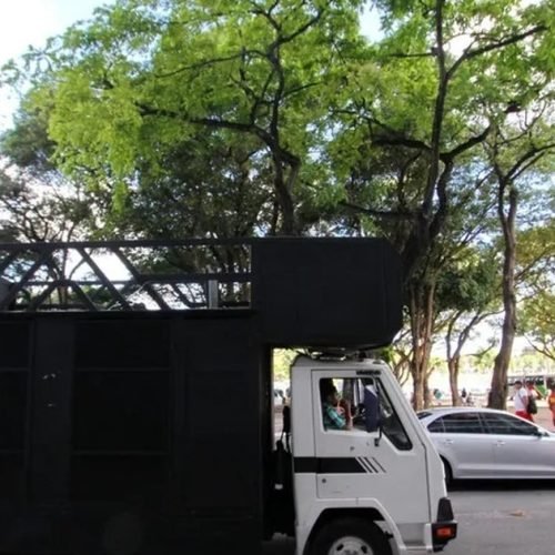Uso de minitrio como meio autônomo de propaganda eleitoral é suspenso pelo TRE-AL