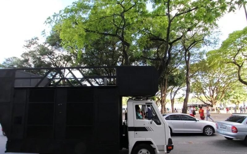Uso de minitrio como meio autônomo de propaganda eleitoral é suspenso pelo TRE-AL