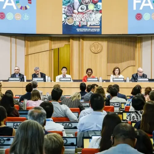 Brasil continua fora do Mapa da Fome, aponta relatório da ONU