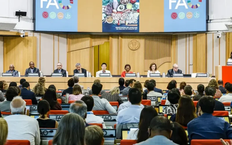 Brasil continua fora do Mapa da Fome, aponta relatório da ONU