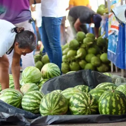 Matriz de Camaragibe movimenta a economia com a 3ª Feira da Agricultura Familiar