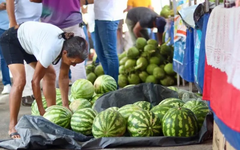 Matriz de Camaragibe movimenta a economia com a 3ª Feira da Agricultura Familiar