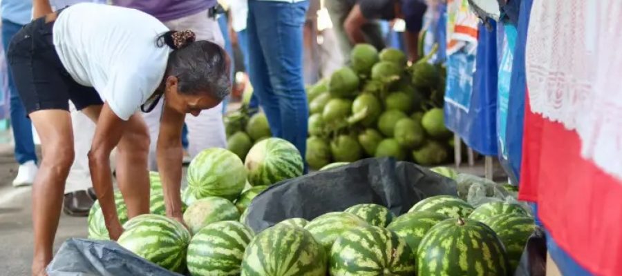 Matriz de Camaragibe movimenta a economia com a 3ª Feira da Agricultura Familiar