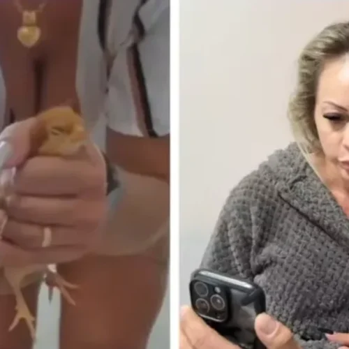 Empresária suspeita de torturar e matar animais para vídeos sexuais é solta após depoimento