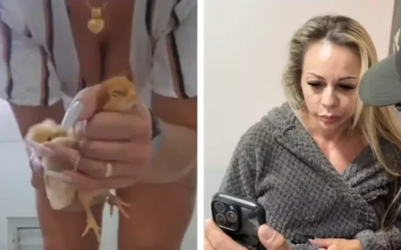 Empresária suspeita de torturar e matar animais para vídeos sexuais é solta após depoimento