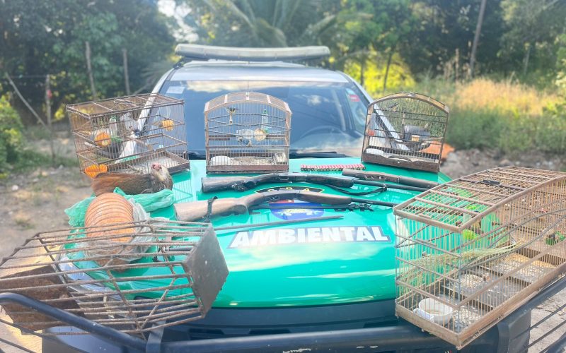 Batalhão Ambiental prende suspeitos por porte ilegal de arma de fogo, caça ilegal e tráfico de animais silvestre.