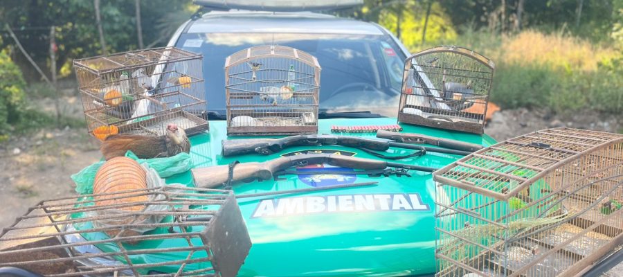 Polícia Militar apreende aves silvestres, armas e armadilhas de caça em Porto de Pedras