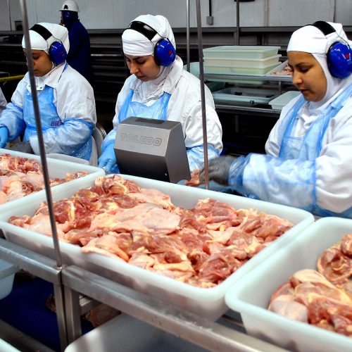 Deputados aprovam jornada reduzida para trabalhadores de frigoríficos em todo Brasil