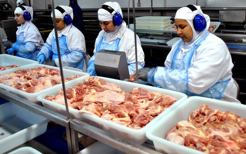 Deputados aprovam jornada reduzida para trabalhadores de frigoríficos em todo Brasil