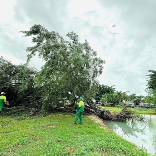 Prefeitura intensifica ações ambientais que minimizam riscos durante o período chuvoso