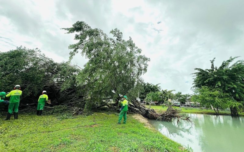Prefeitura intensifica ações ambientais que minimizam riscos durante o período chuvoso