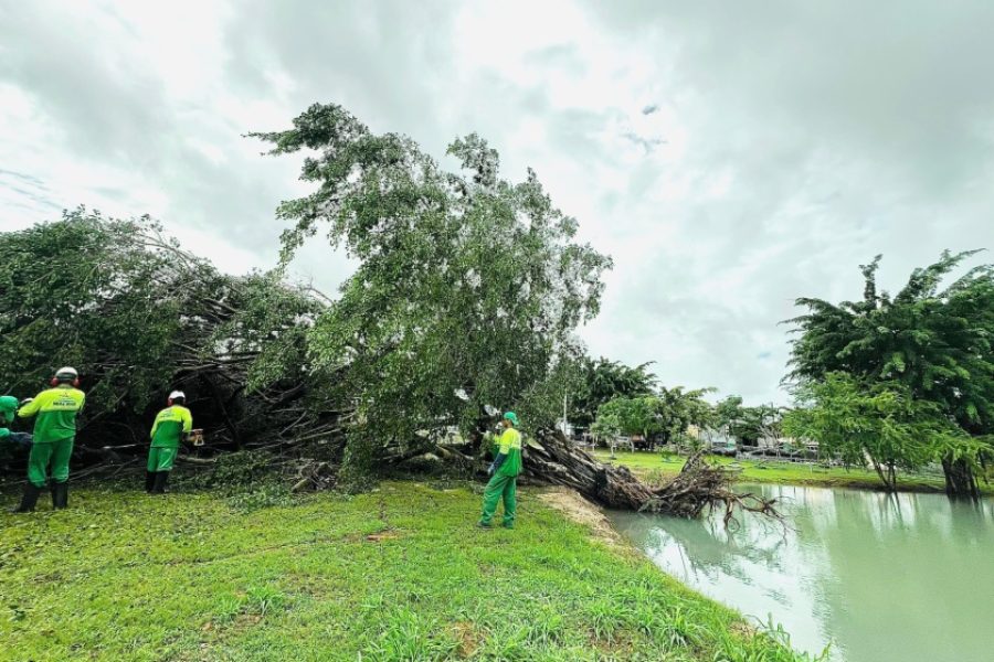 Prefeitura intensifica ações ambientais que minimizam riscos durante o período chuvoso