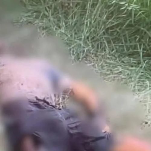 Corpo em avançado estado de decomposição é encontrado em área de mata em União dos Palmares