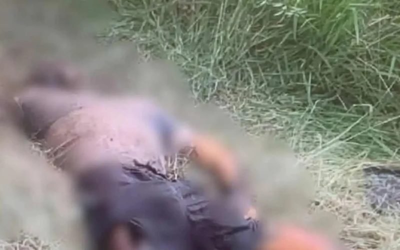 Corpo em avançado estado de decomposição é encontrado em área de mata em União dos Palmares