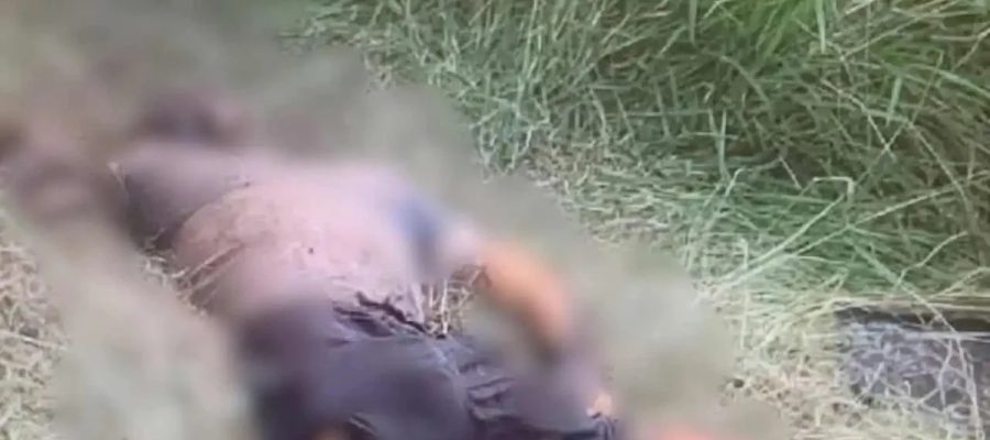 Corpo em avançado estado de decomposição é encontrado em área de mata em União dos Palmares
