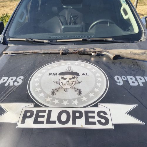Homem suspeito de atirar contra animais de vizinho é preso em Delmiro Gouveia 