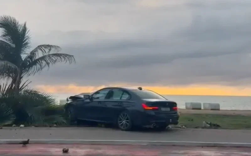 Vídeo mostra momento em que BMW invade calçada e derruba coqueiro na orla da Jatiúca