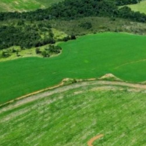 Deputado Nikolas Ferreira reage a homenagem feita por produtor rural