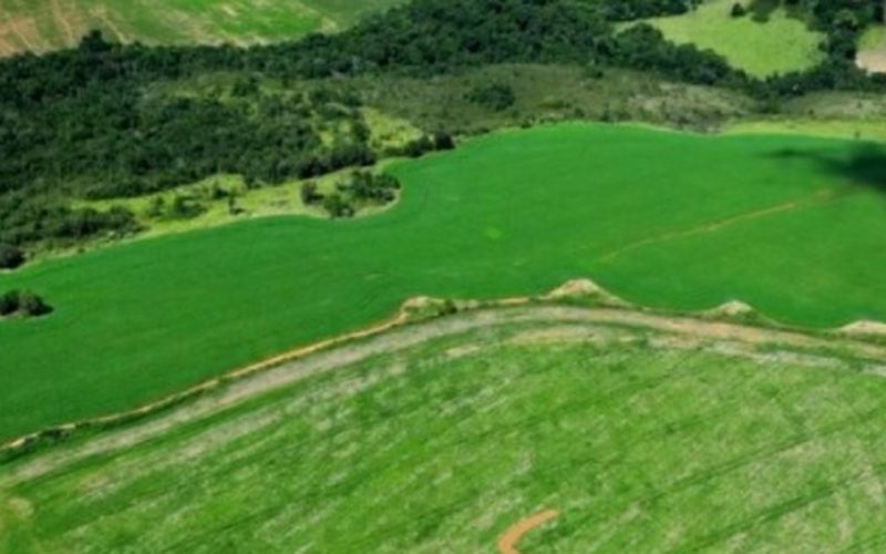 Deputado Nikolas Ferreira reage a homenagem feita por produtor rural