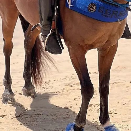 Jovem de 17 anos luta para voltar a andar após acidente e precisa de ajuda