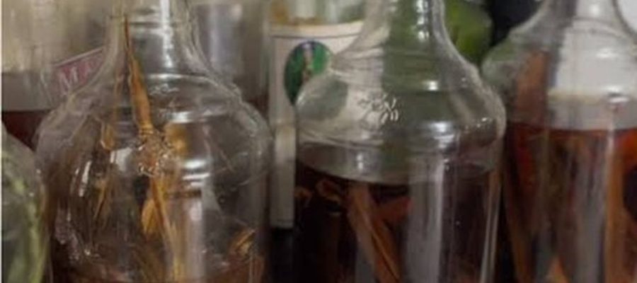Pacientes intoxicados após consumo de “raizada” recebem alta em Pariconha