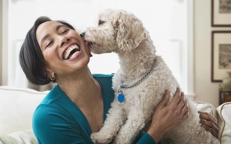 Olhar nos olhos do cachorro fortalece vínculo semelhante ao de mãe e filho, diz estudo
